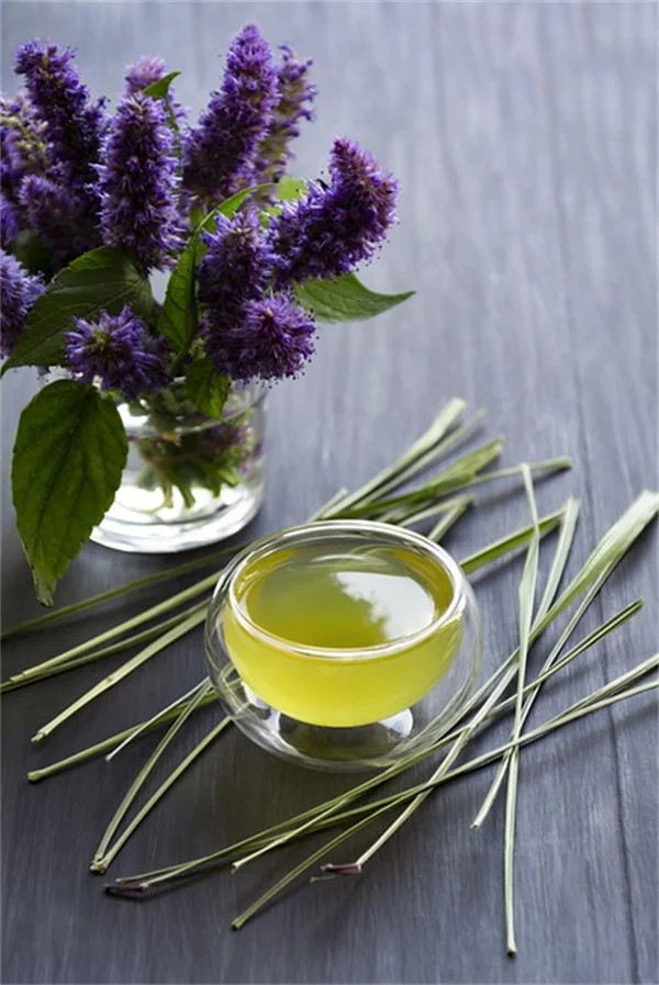 COVID Eye vs Allergies: 5 Key Differences You Need to Know